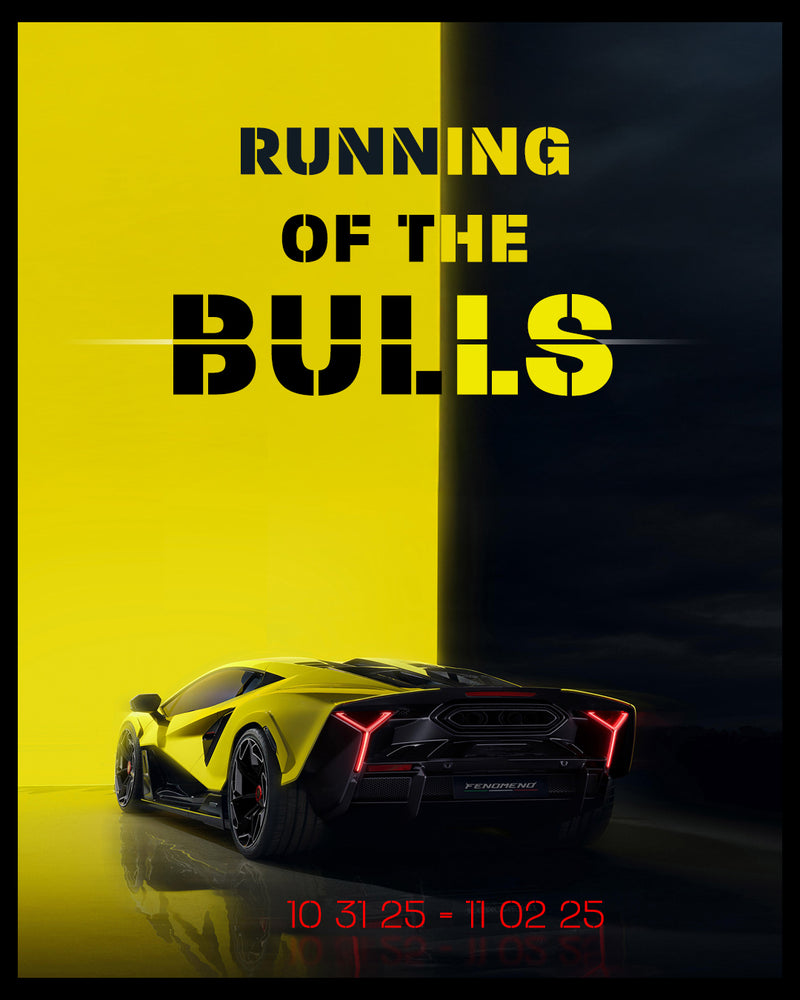 RUNNING OF THE BULLS